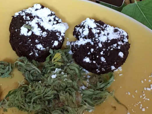 Cholaca Cannabis Chocolate Truffles